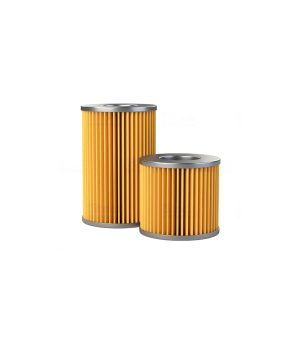 Luber-finer LFF2040 Heavy Duty Fuel Filter